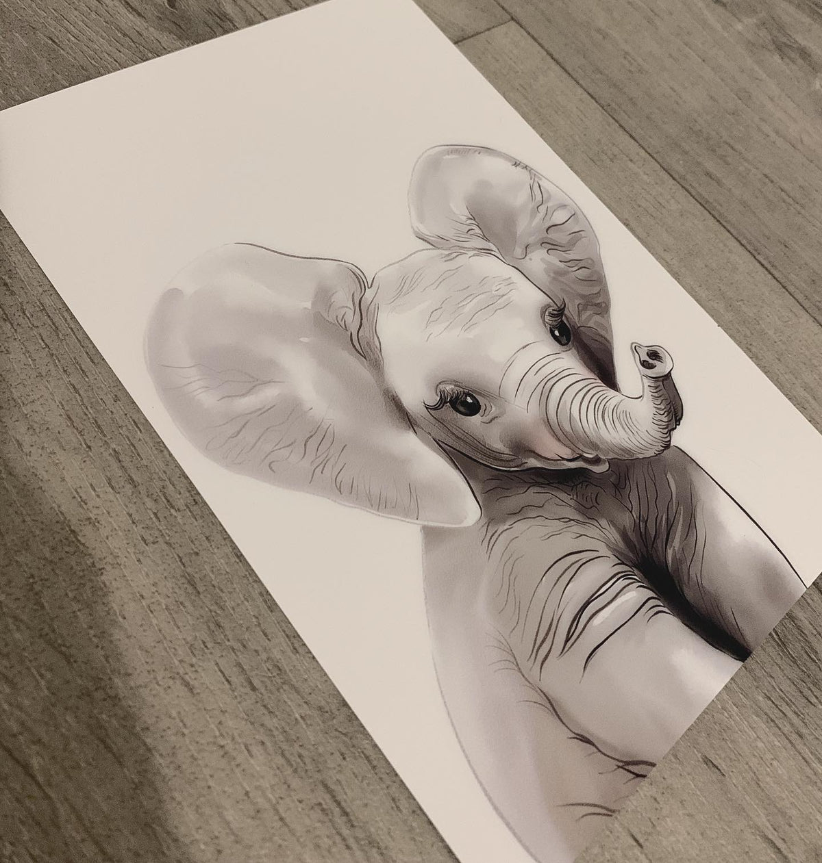 Safari Baby Prints