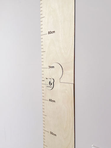 Personalised Bear Growth Chart plus age plotters
