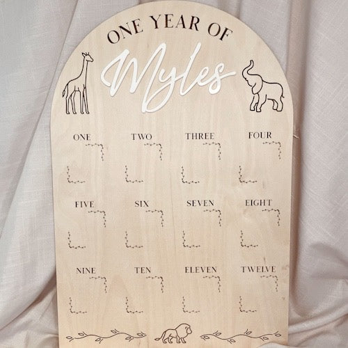 Safari First Birthday Photograph Board